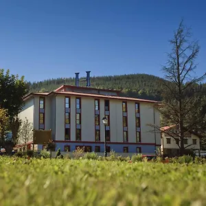 *** Hotel Balneario Nº 01224 España